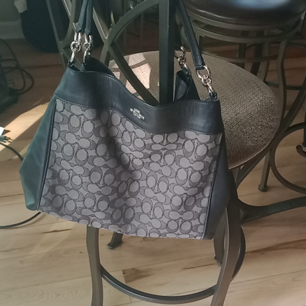 Coach Lexi outline signature purse